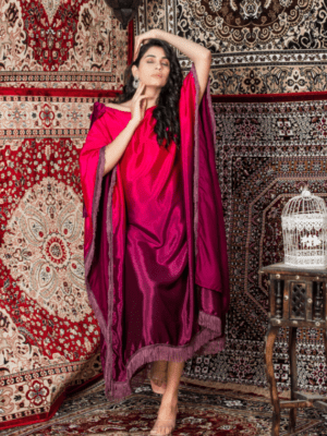 Dark Fuchsia Aumbre Dress