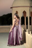 Fairy Tail Double Shade Lehenga Set