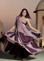 Fairy Tail Double Shade Lehenga Set